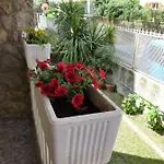 Flamingo & Cactus By The Sea * Levanto