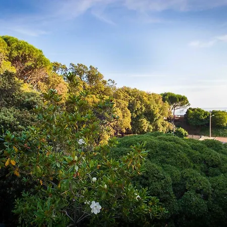 Flamingo & Cactus By The Sea *