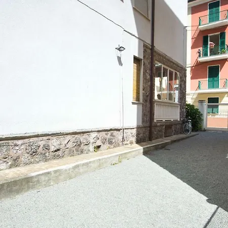 Flamingo & Cactus By The Sea