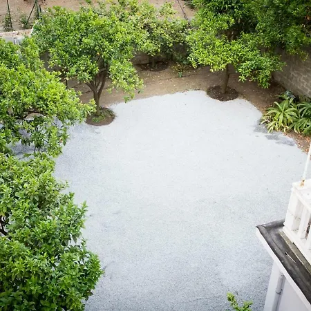 Flamingo & Cactus By The Sea * 레반토