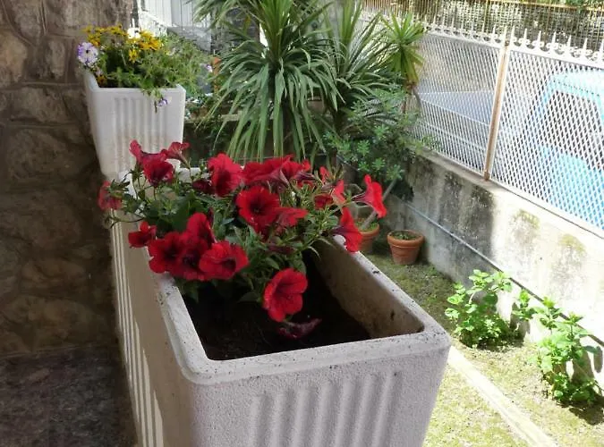 Flamingo & Cactus By The Sea * 레반토