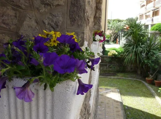 Flamingo & Cactus By The Sea *