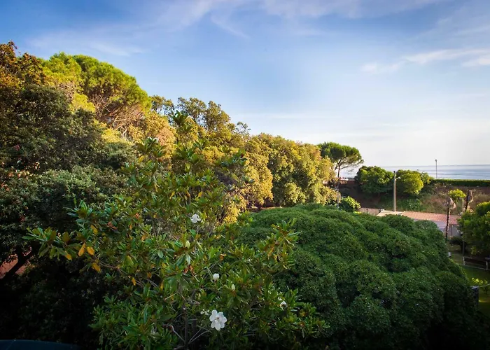 Flamingo & Cactus By The Sea *