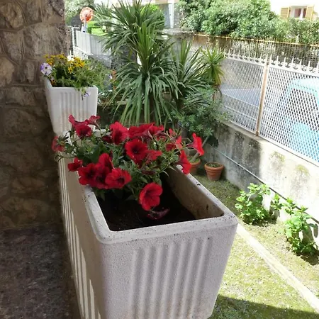 Flamingo & Cactus By The Sea * Levanto
